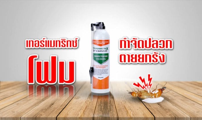 รีวิว สินค้ากำจัดปลวก ปลอดภัยที่สุด ใน ราชบุรี